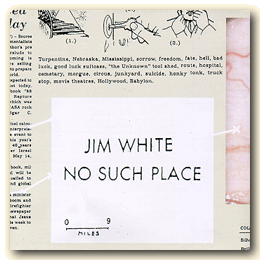 Jim White